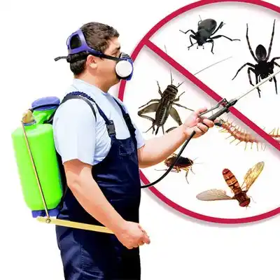 pest control Doolittle